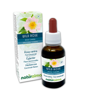 Wild Rose Fiori emozionali o Fiori di Bach liquido alcoolico - Naturalma