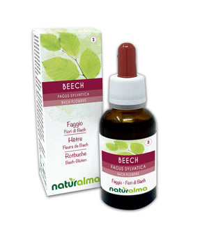 Beech Flores de Bach líquidas sin alcohol - Naturalma - Complemento alimenticio