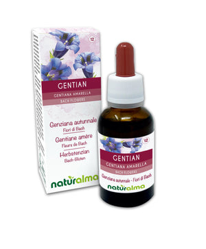 Gentian Fiori emozionali o Fiori di Bach liquido analcoolico - Naturalma