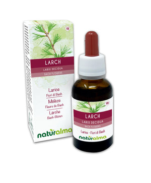 Larch Fiori emozionali o Fiori di Bach liquido analcoolico - Naturalma