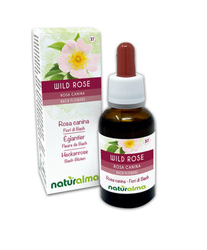 Wild Rose Fiori emozionali o Fiori di Bach liquido analcoolico - Naturalma