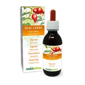 Rosa canina Gemmoderivato liquido analcoolico - Naturalma - Integratore alimentare
