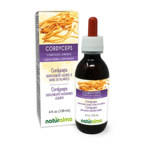 Cordyceps Alcohol-free liquid tincture - Naturalma - Herbal supplement