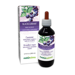 Blackcurrant Alcohol-free liquid tincture - Naturalma - Herbal supplement