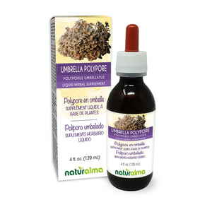 Umbrella polypore Alcohol-free liquid tincture - Naturalma - Herbal supplement