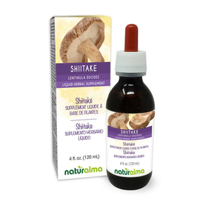 Shiitake Alcohol-free liquid tincture - Naturalma - Herbal supplement