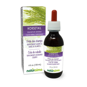 Horsetail Alcohol-free liquid tincture - Naturalma - Herbal supplement
