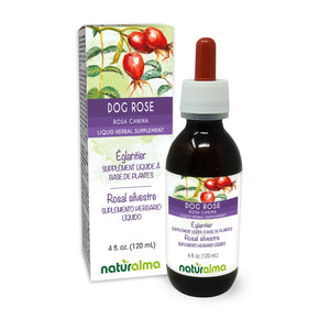 Dog rose Alcohol-free liquid tincture - Naturalma - Herbal supplement