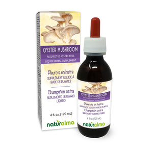 Oyster mushroom Alcohol-free liquid tincture - Naturalma - Herbal supplement