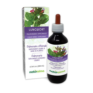 Lungwort Alcohol-free liquid tincture - Naturalma - Herbal supplement