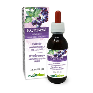Blackcurrant Alcohol-free liquid tincture - Naturalma - Herbal supplement