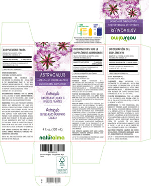 Astragalus Alcohol-free liquid tincture - Naturalma - Herbal supplement