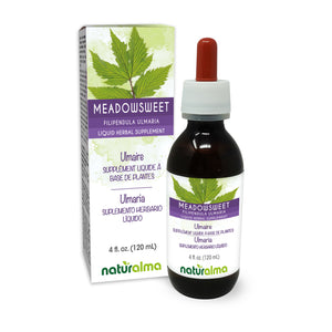 Meadowsweet Alcohol-free liquid tincture - Naturalma - Herbal supplement